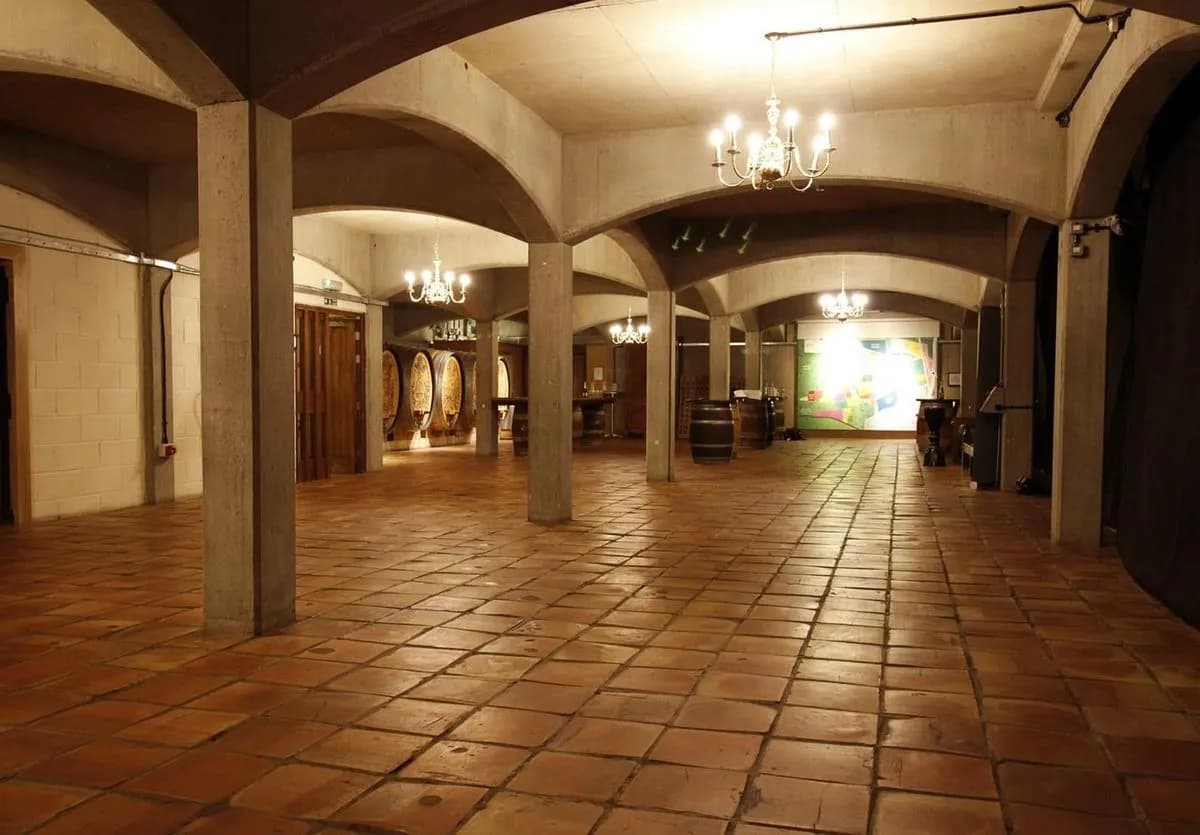Cellars - Denbies Estate