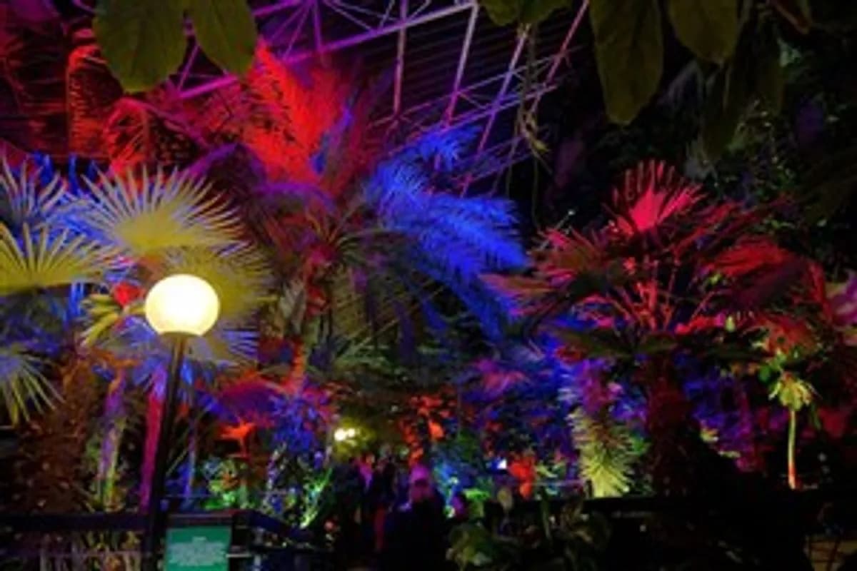 Conservatory - Barbican Centre