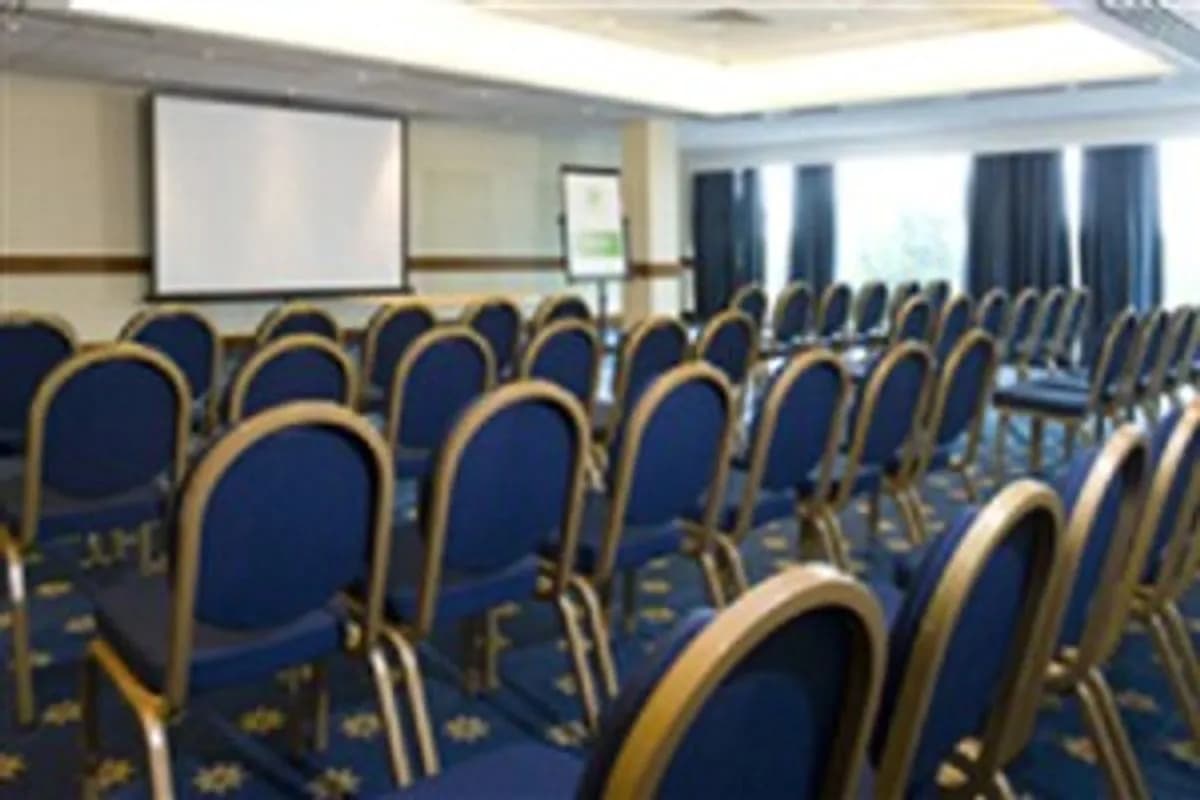 Wembley Suite - Holiday Inn London - Wembley