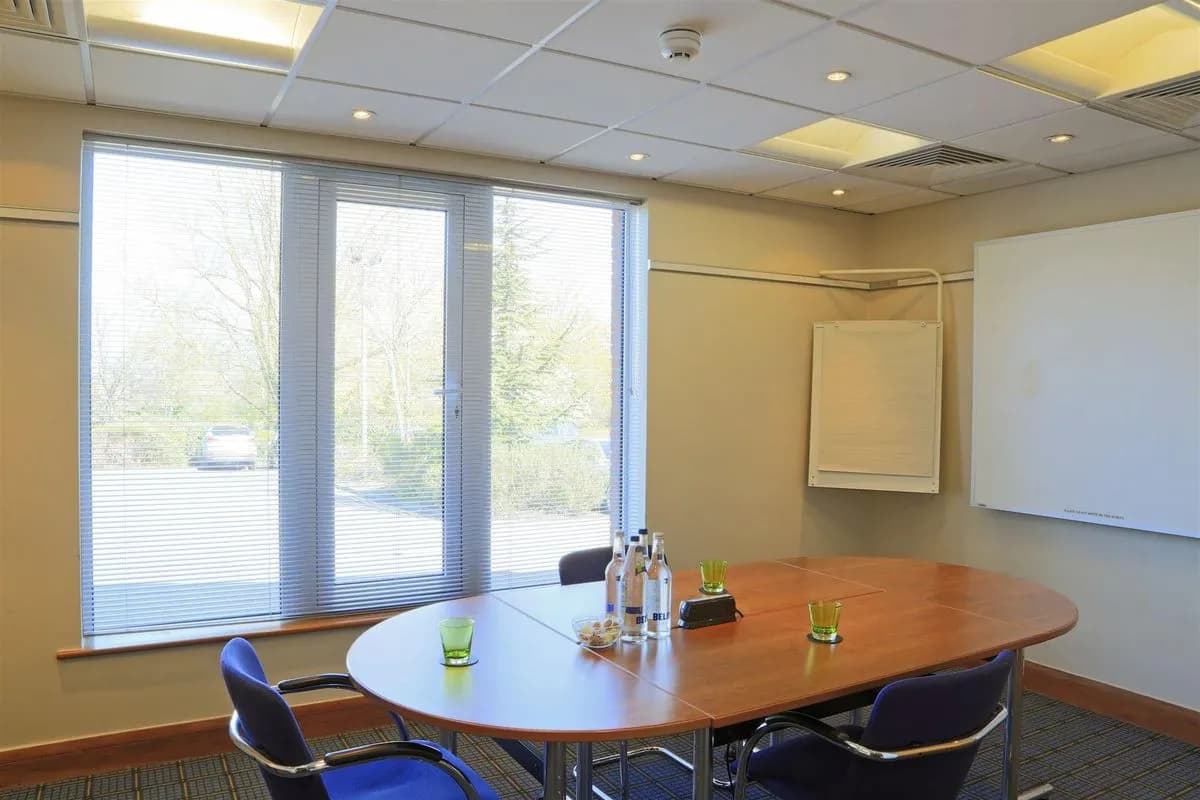 Hurtmore Suite - Holiday Inn Guildford