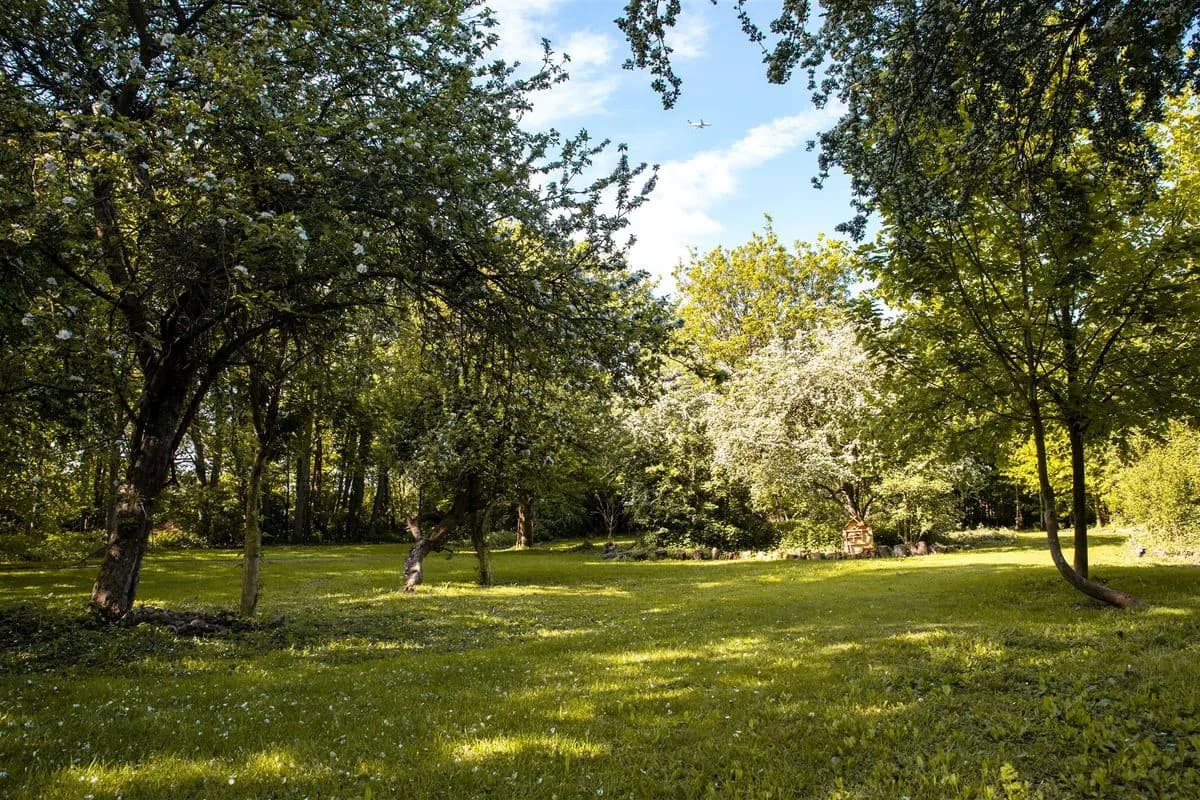 Pippin Woods - Hilton London Heathrow Airport Terminal 5
