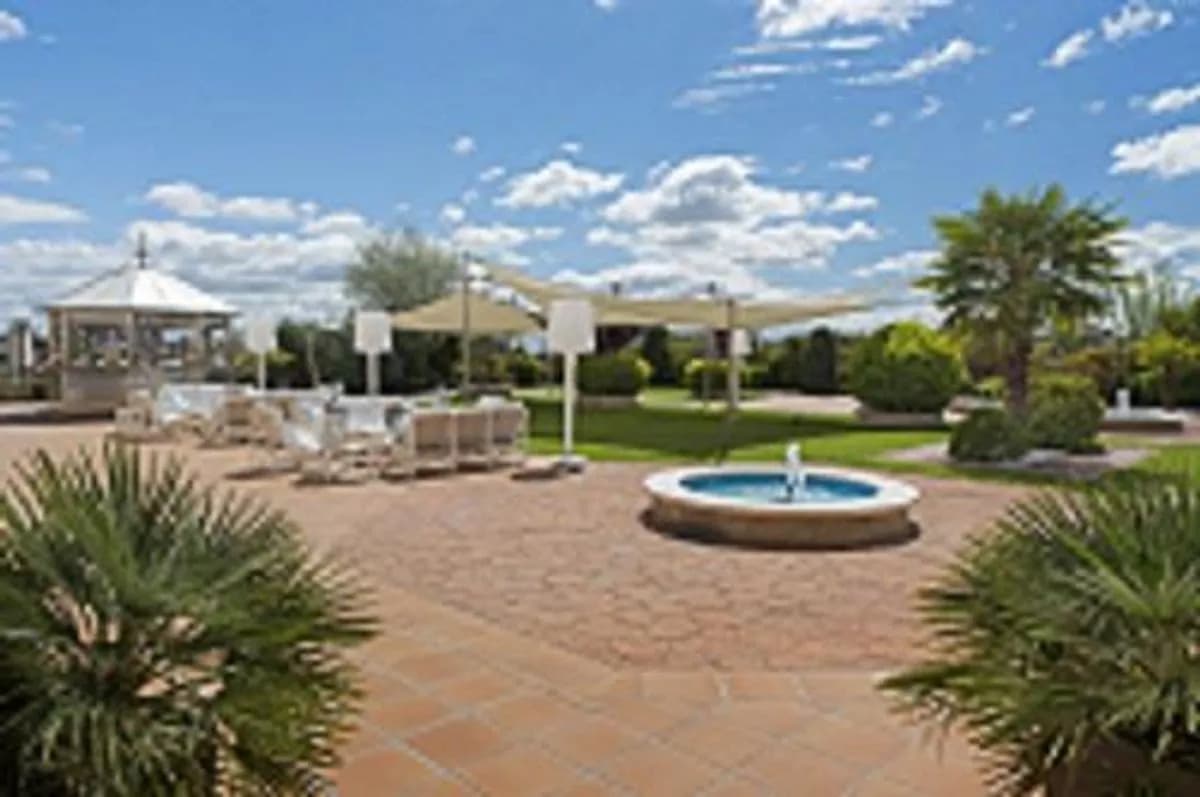 Garden / Terrace - Elba Madrid Alcala