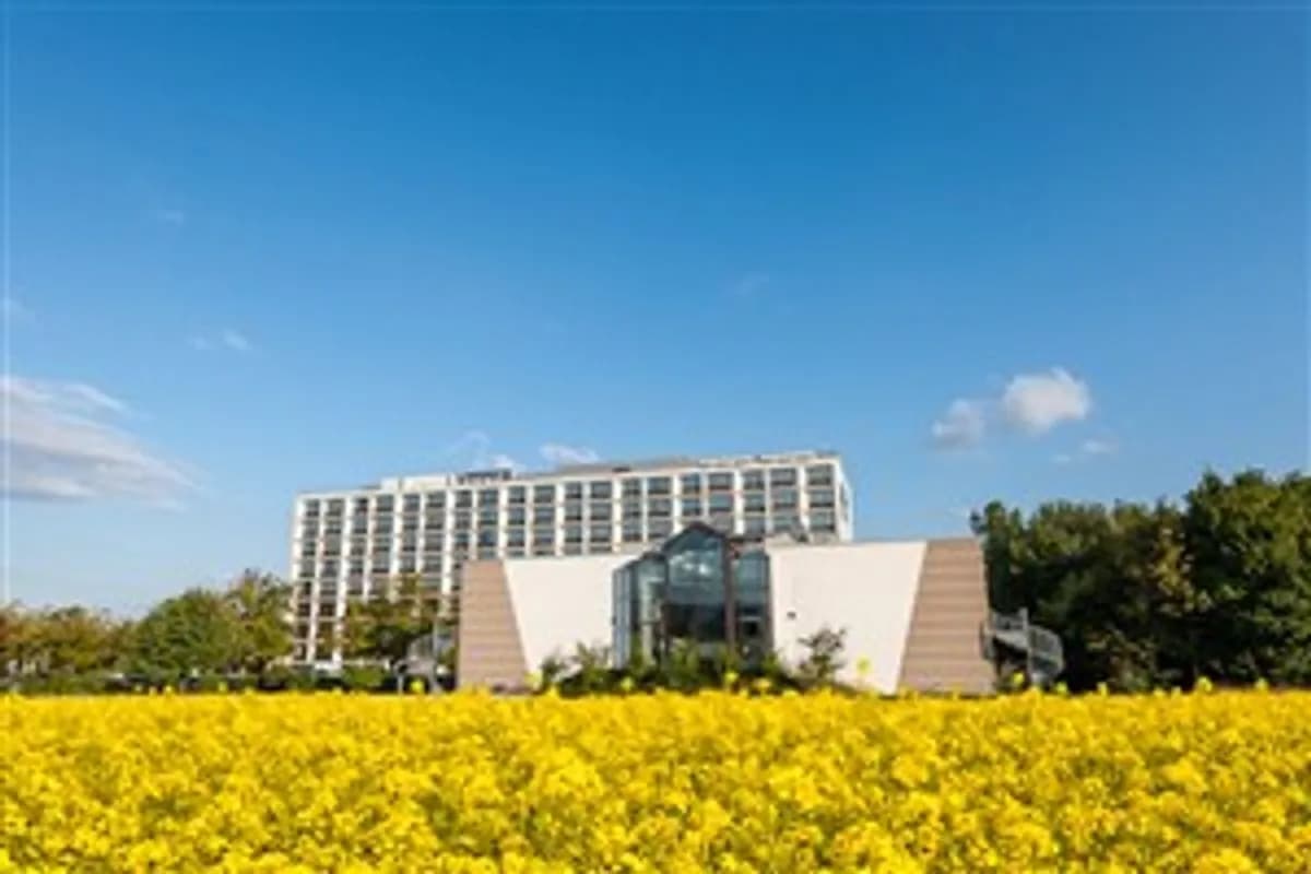 Schwalbach - Dorint Main Taunus Zentrum Frankfurt / Sulzbach