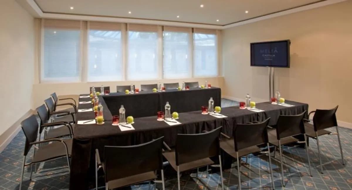 Segovia - Melia Castilla