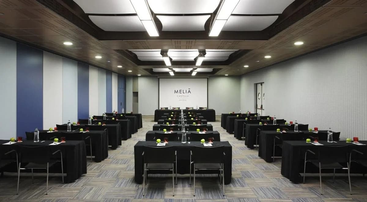 Patio 3 - Melia Castilla