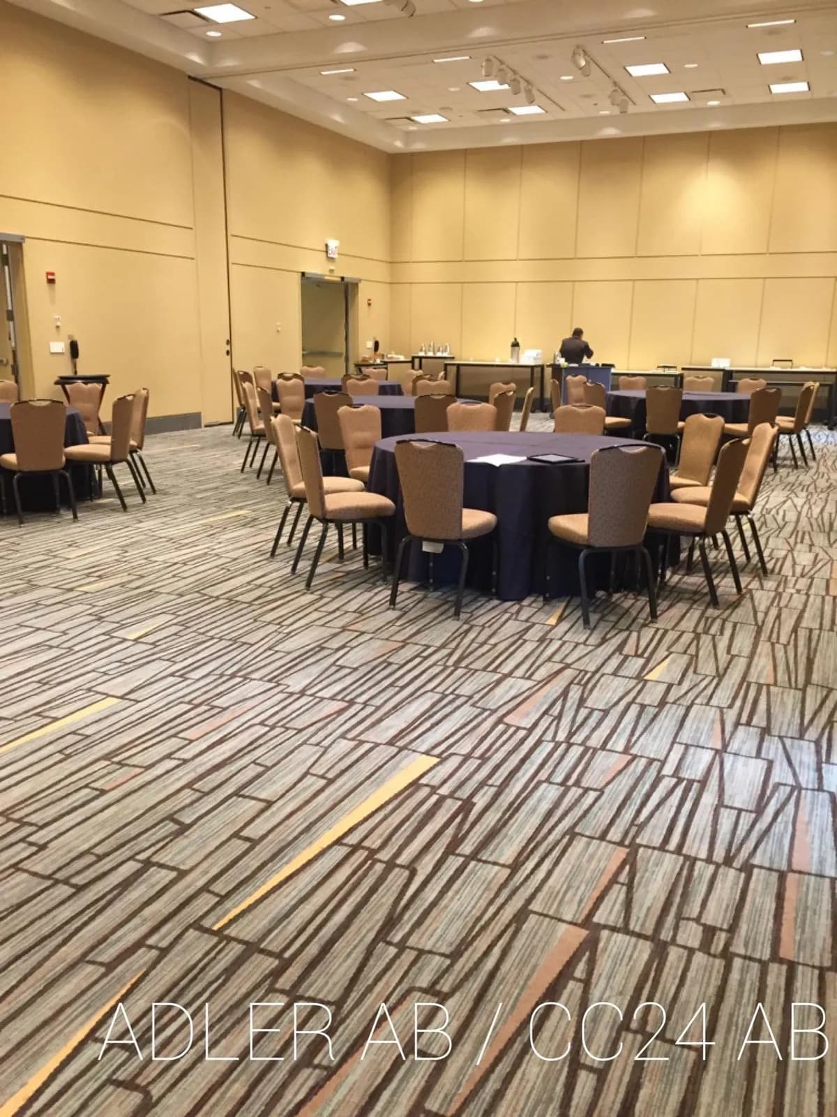 Adler BC (CC24BC) - Hyatt Regency McCormick Place Chicago - $8M Full Meeting Space Renovation (March 2024)