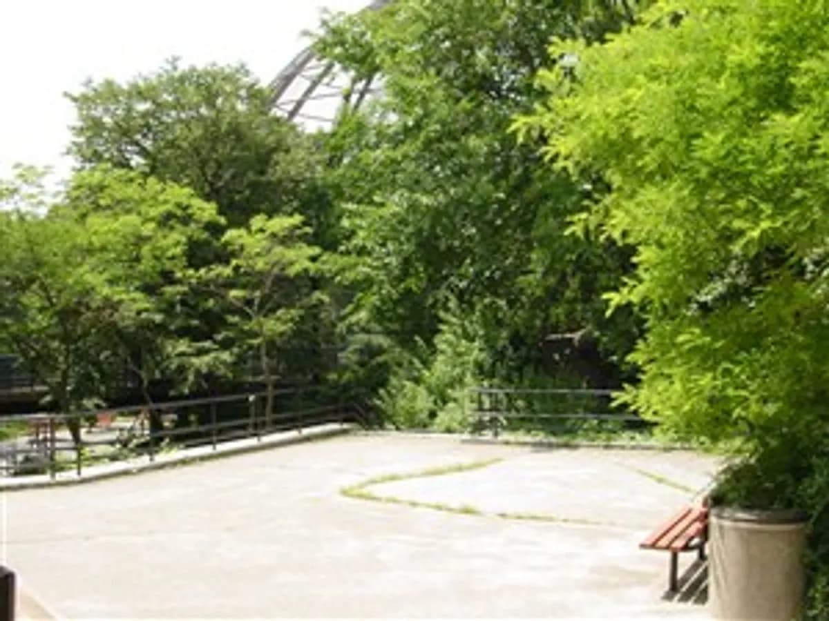 Bird’s World Patio - Franklin Park Zoo