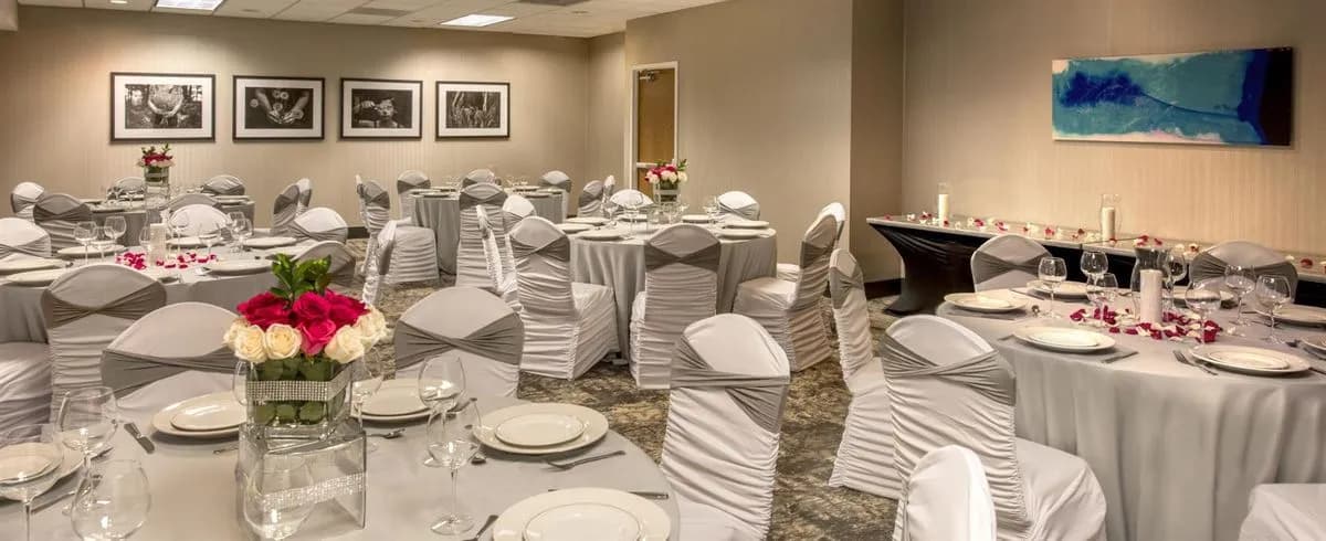 DuPage Room - DoubleTree by Hilton Chicago Schaumburg