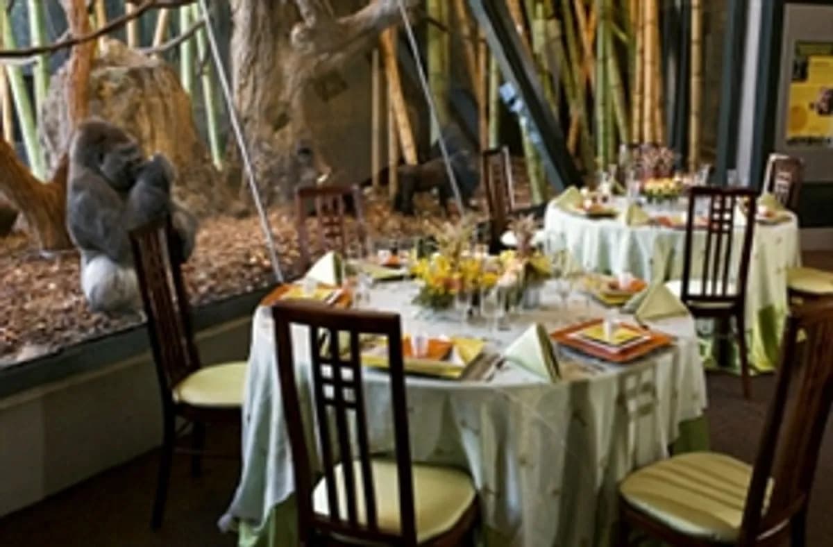Regenstein Center for African Apes - Lincoln Park Zoo