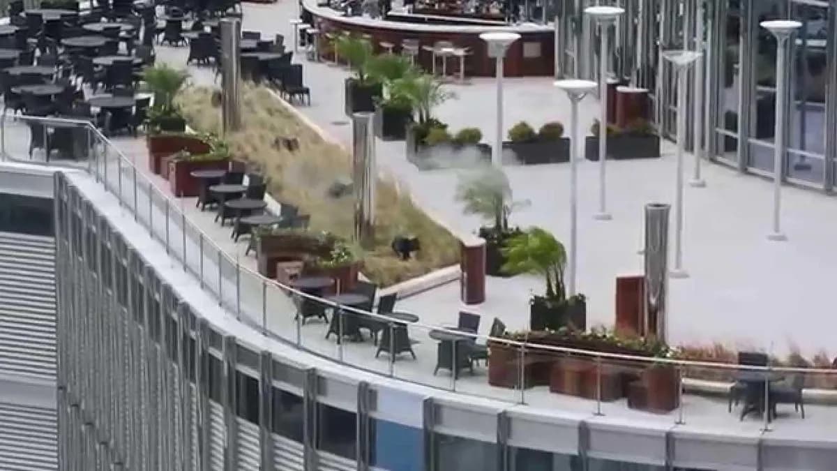 Terrace 16 Rooftop Patio (shared space) - Trump International Hotel & Tower Chicago