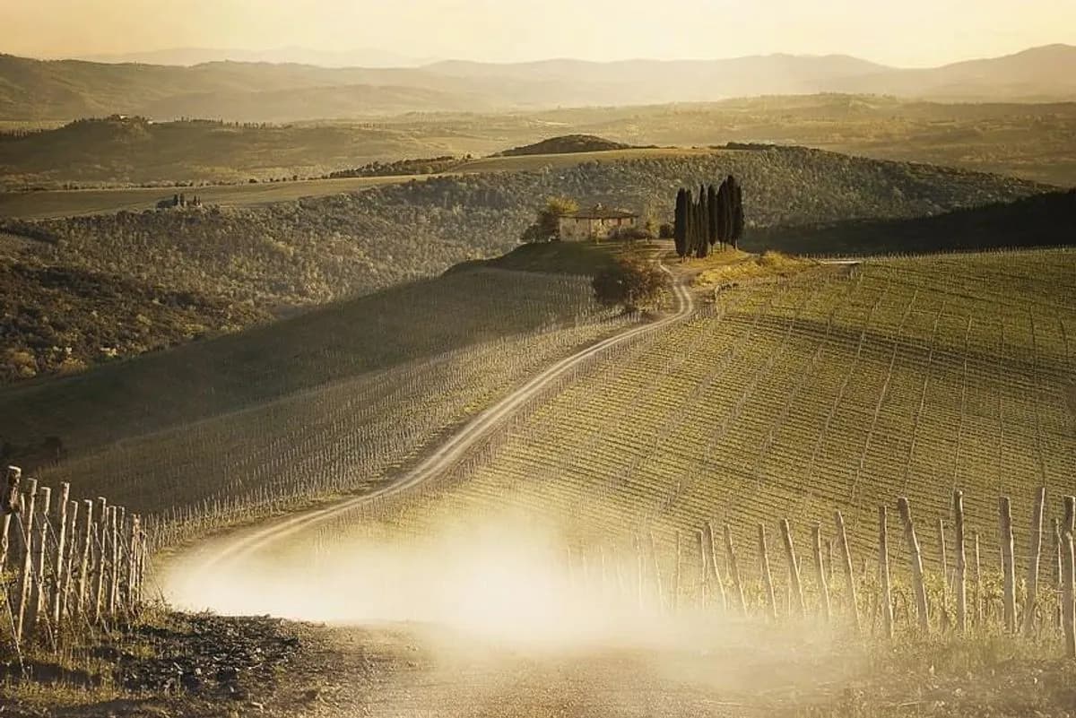 Capanna Vineyard Garden - Rosewood Castiglion del Bosco