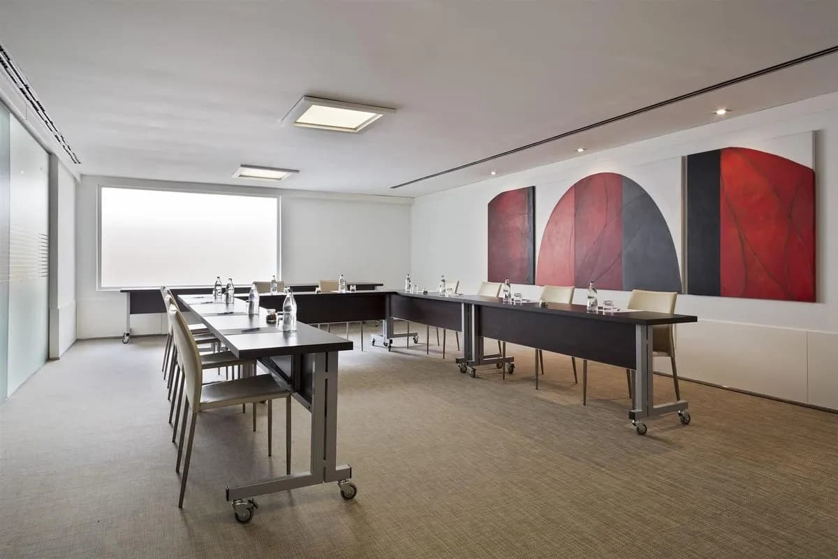 Ficus - Melia Sevilla
